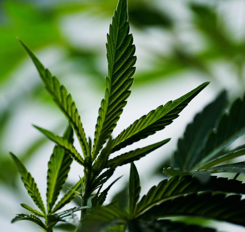 Tier Activation & Annual Reset