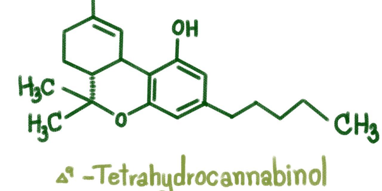 THCa – The Heated High Times Breakdown