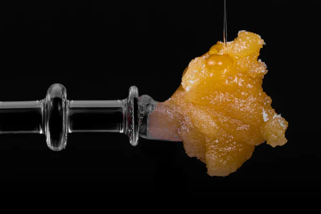 Close-up shot of THCA live rosin on a dabbing tool, highlighting its translucent amber hue and thick, gooey texture, set against a black background that accentuates the concentrate's rich color and purity.