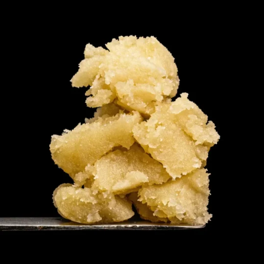 Close-up shot of THCA live rosin on a dabbing tool, with its translucent amber hue and thick, gooey texture highlighted against a black background, emphasizing the concentrate's quality and purity.