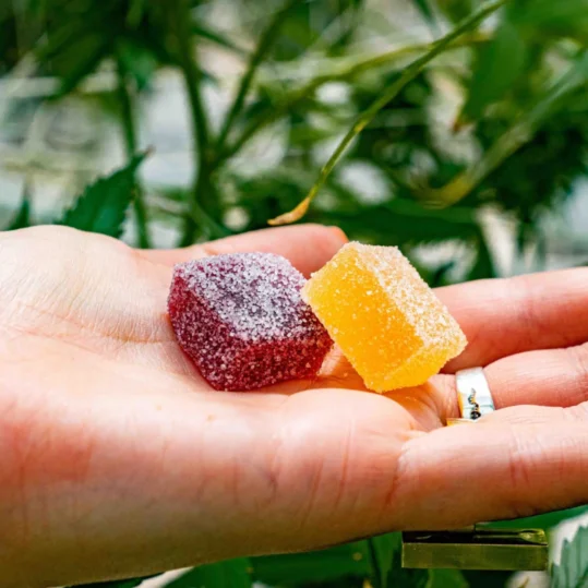 a hand holding Delta 9 THC gummies