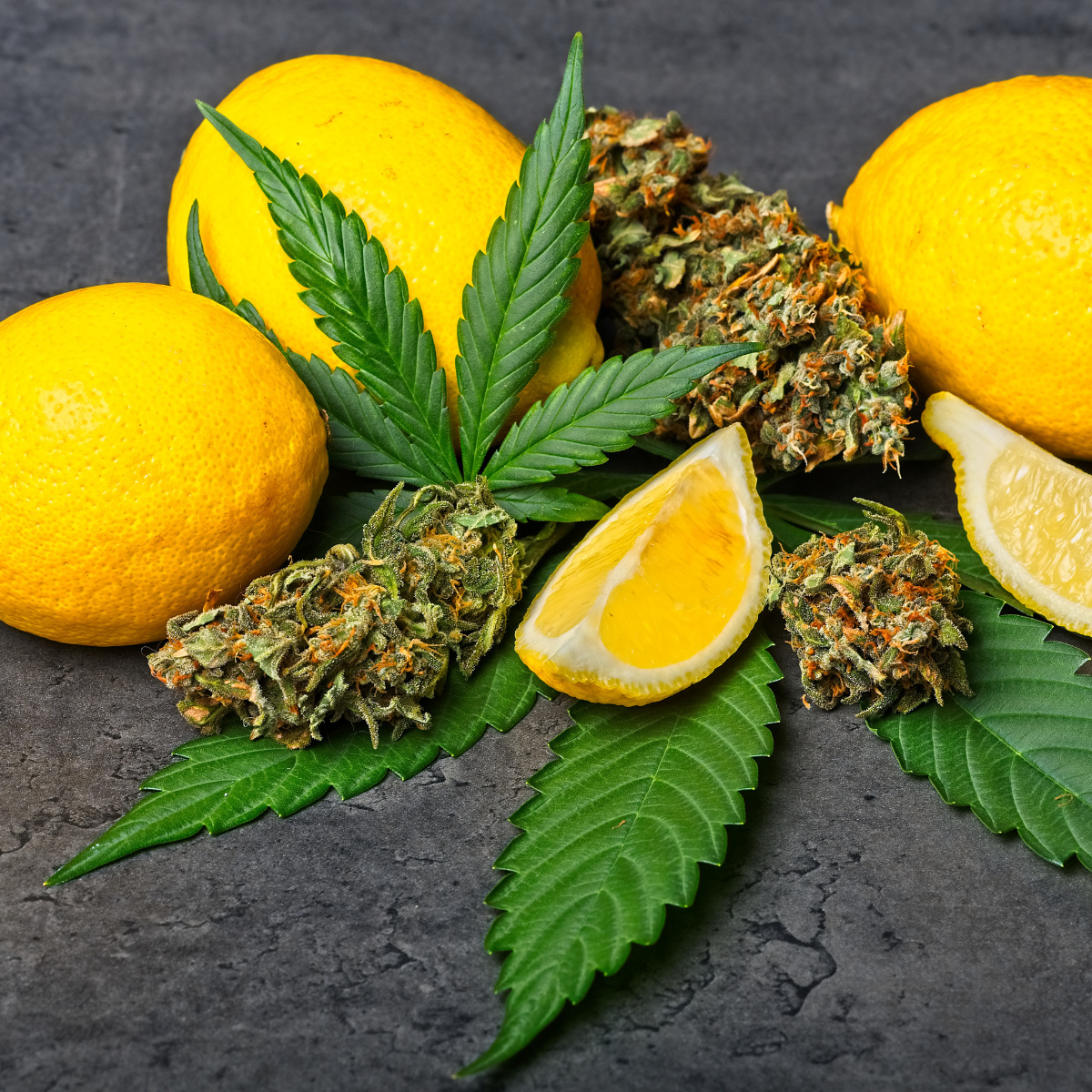 image with cannabis and lemons representing a cannabis terpene profile