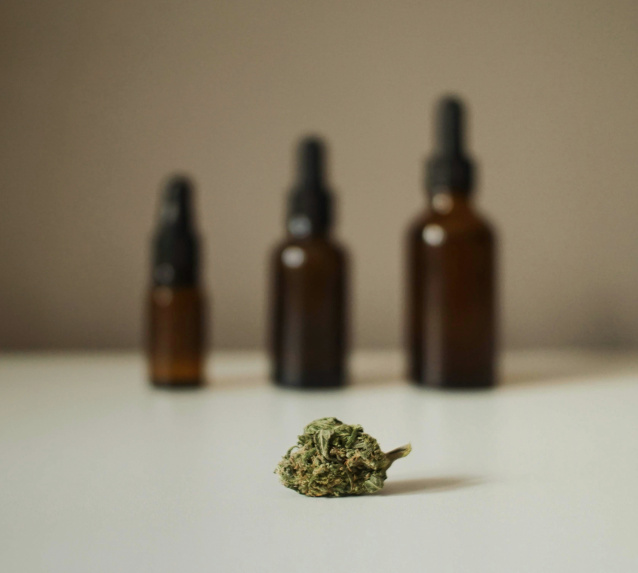 Three CBD oil tincture bottles in varying sizes with hemp flower displayed in foreground