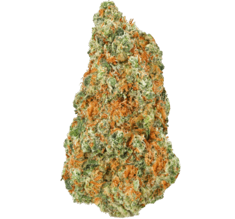 GMO Candy Strain