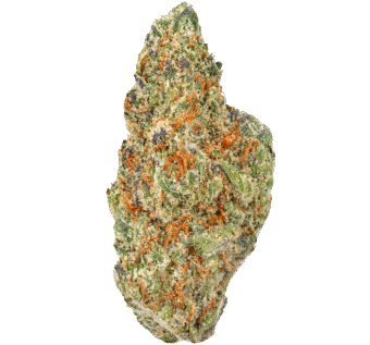 Strawberry Cough Strain