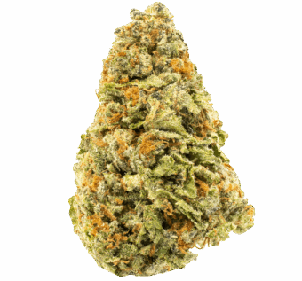Biscotti THCA Flower min 1