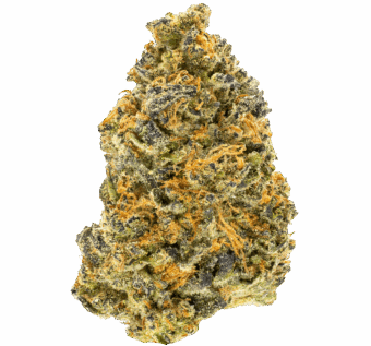 Black Scotti THCA Flower min