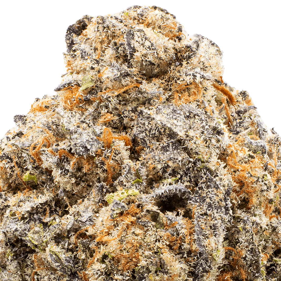 Blueberry Pancake Strain Macro