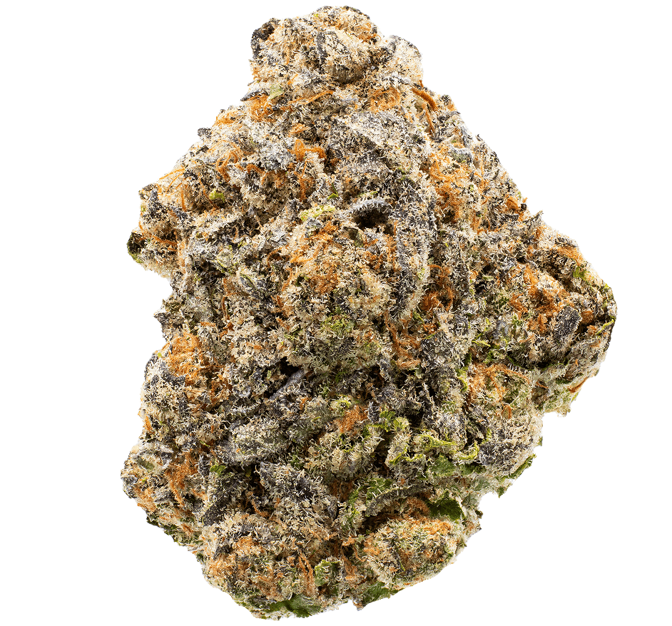 Blueberry Pancake THCA Flower