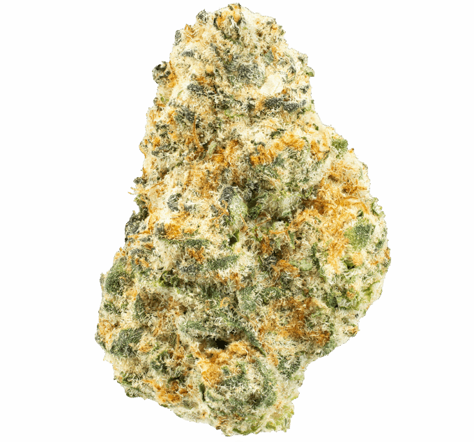 Buy Organic THCA Flower - High Potency and Terpene Rich