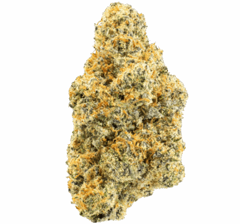 Pillow Talk thca flower min