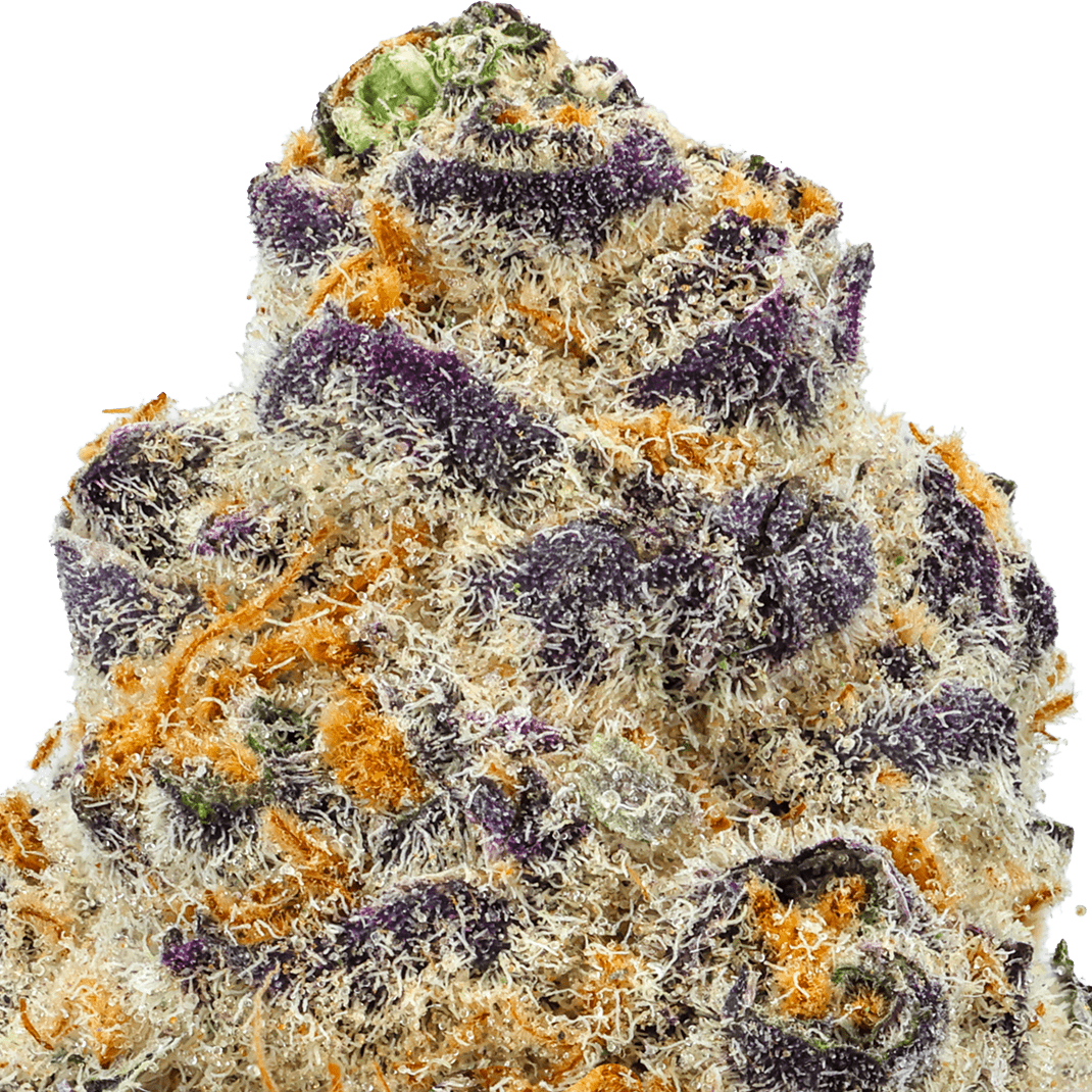 Blueberry Pie Strain