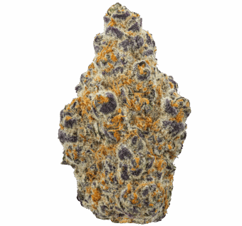 Blueberry Pie Strain