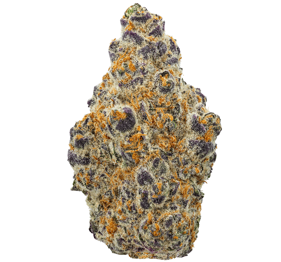 Blueberry Pie Strain