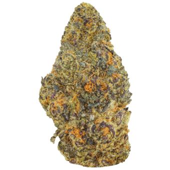 Ice Cream Pie Strain