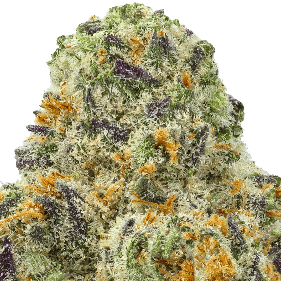 Modified Grapes Strain