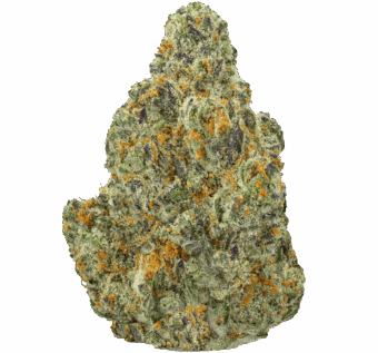 Modified Grapes Strain