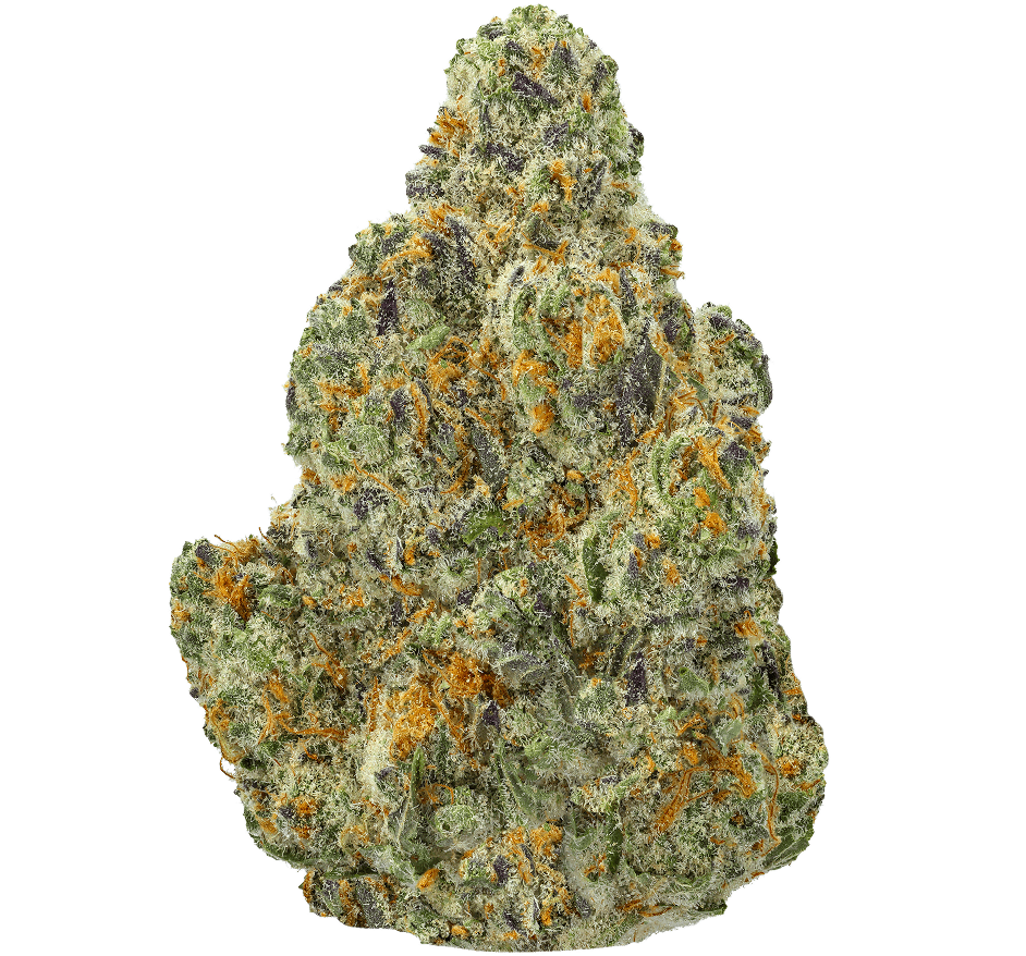 Modified Grapes Strain