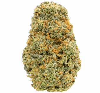 Purple Ghost Candy thca flower min