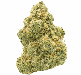 aye papi thca flower min