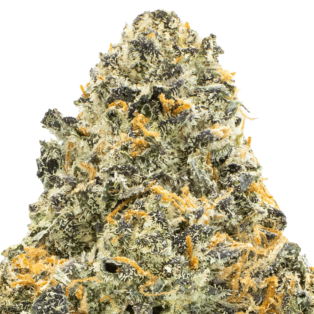 Banana Punch Strain Macro