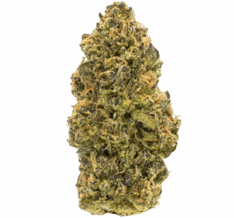 cromagnon man thca flower min
