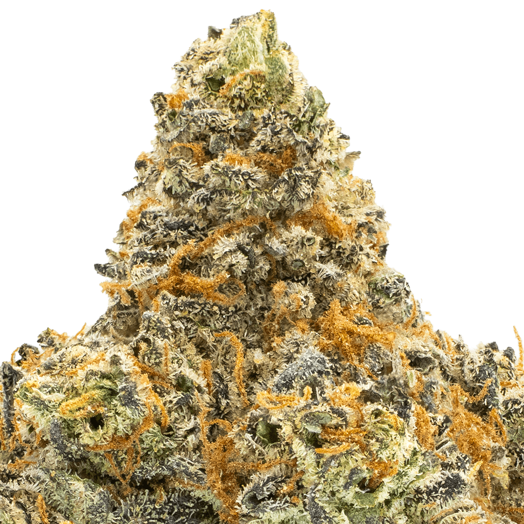 Electric Koolaid Strain Macro