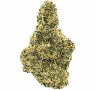 white guava thca flower min