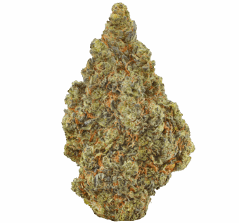Amnesia Haze Strain min