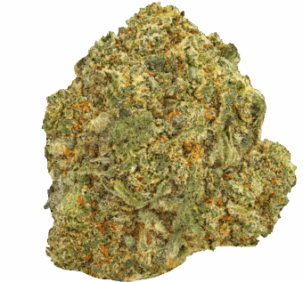 Cherry Slimeade Strain min