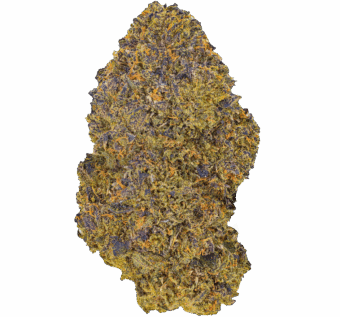 Donny Burger strain min