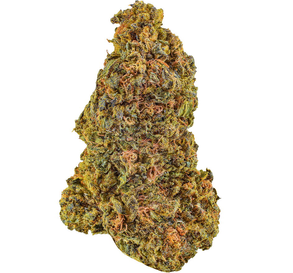 Durban Poison THCA Flower Buds