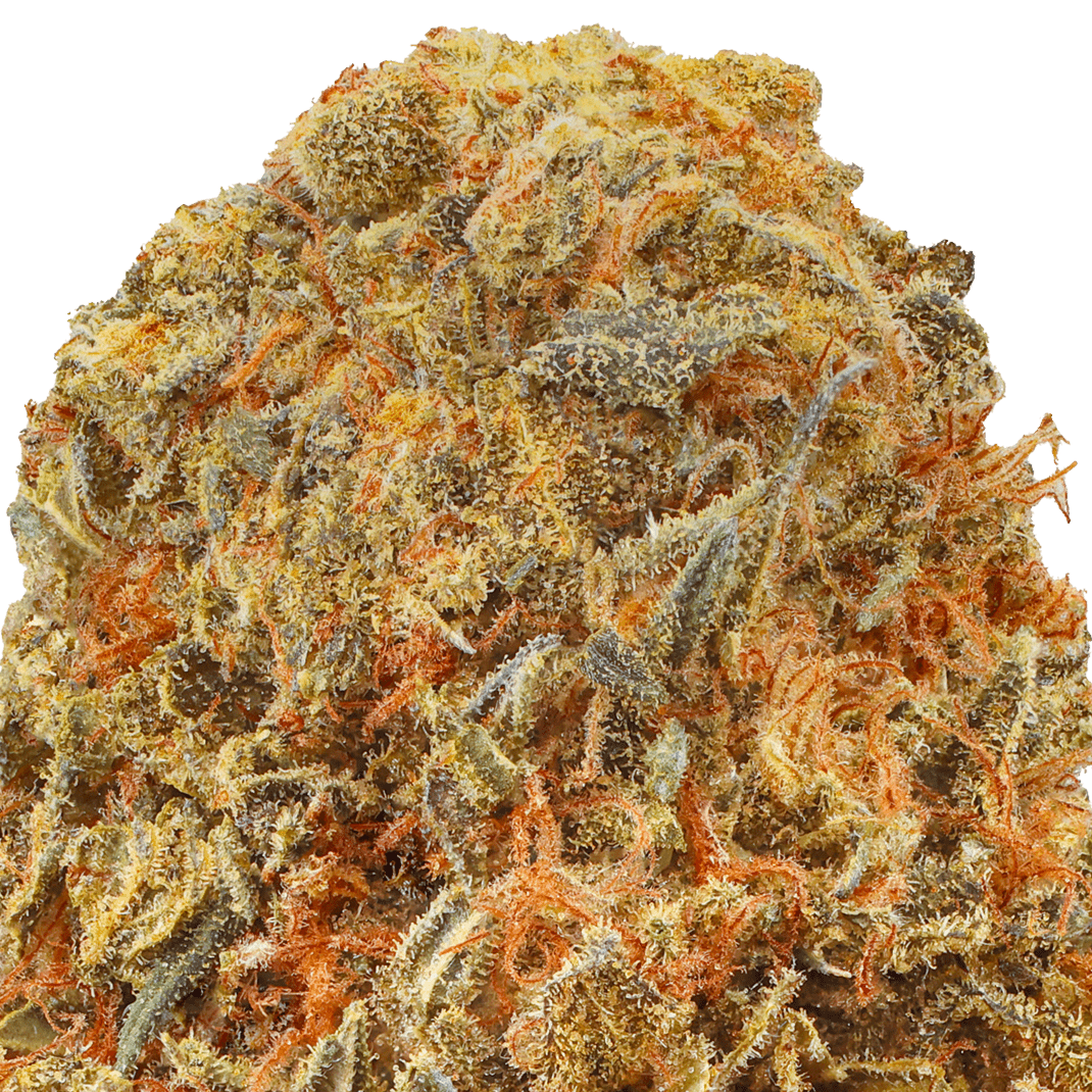 Gary Peyton Strain Macro