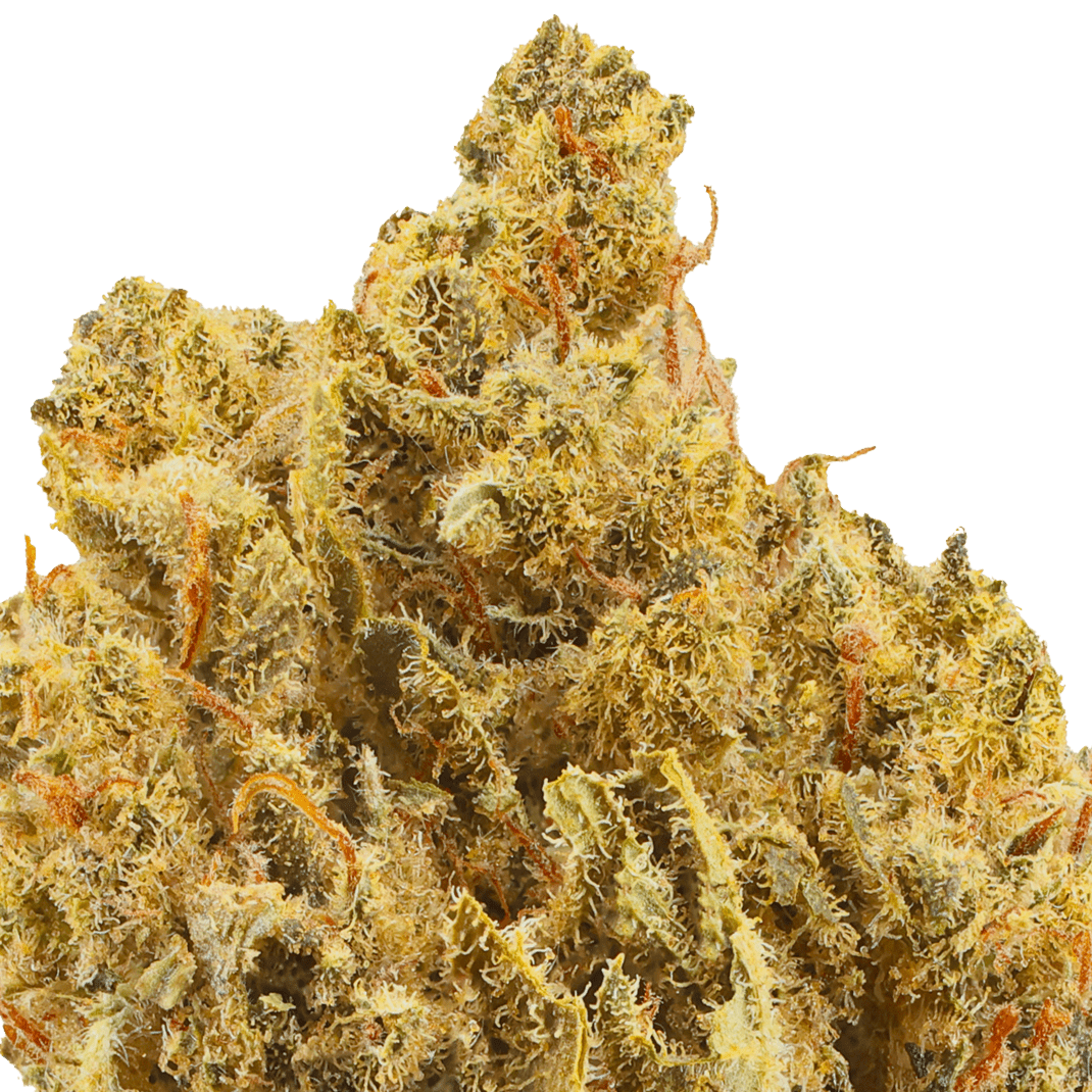 Hash Burger Strain Macro