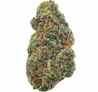 MG Kush Strain min