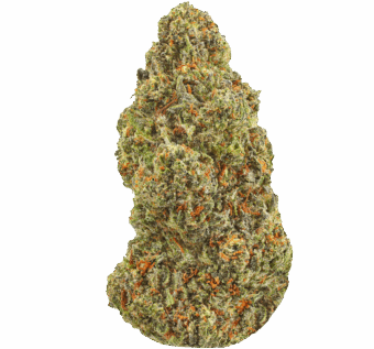 Pappy OG Strain min