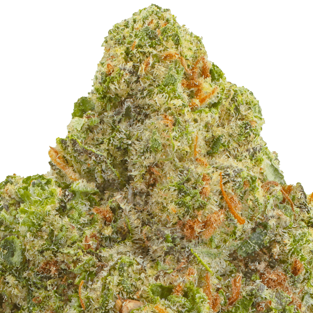 weed Pink Zkittlez Strain - THCA Flower- Asheville Dispensary