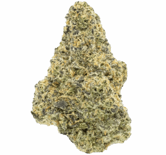 black velvet strain min
