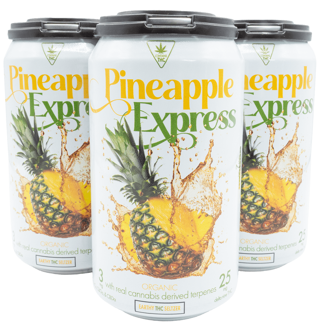 Earthy Delta 9 Seltzer - Pineapple Express - Asheville Dispensary