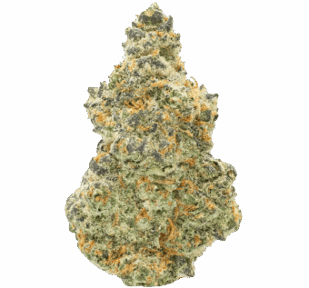 mendo breath strain min
