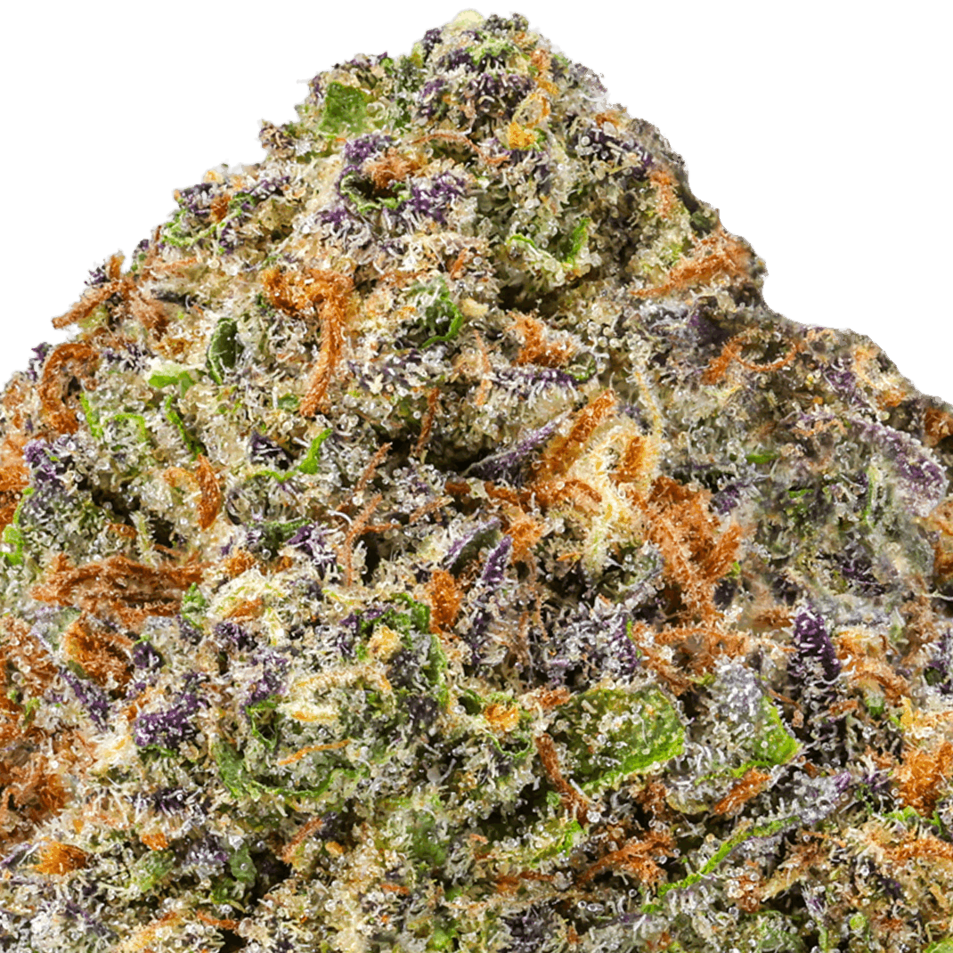 Acapulco-Gold-Strain-macro Acapulco Gold Strain