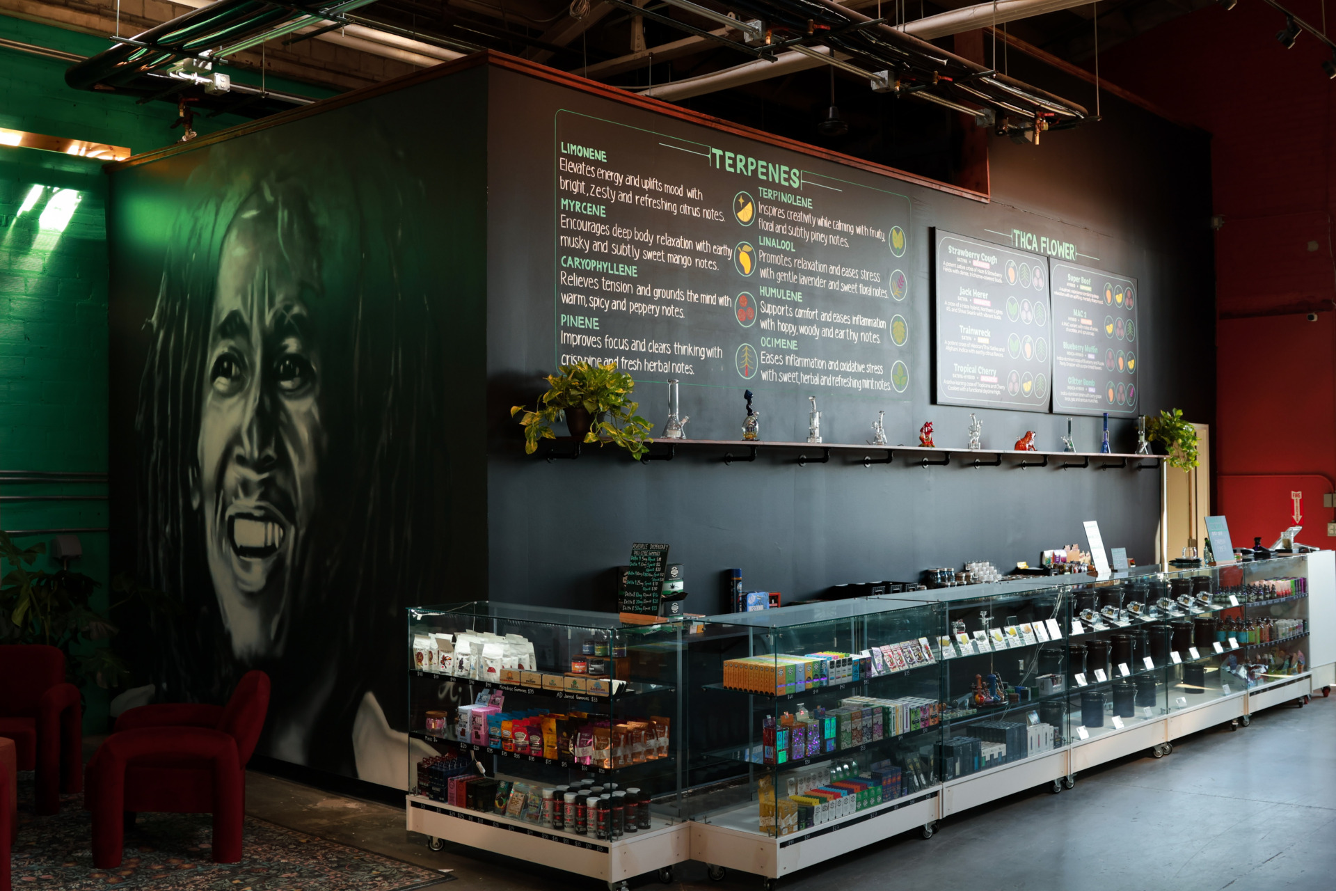 Asheville Dispensary South Slope District Cannabis thca shop