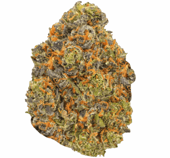 MAC 1 Strain min 2