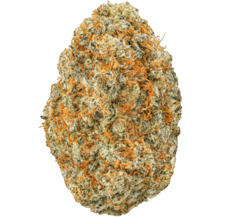Rainbow Chip Strain