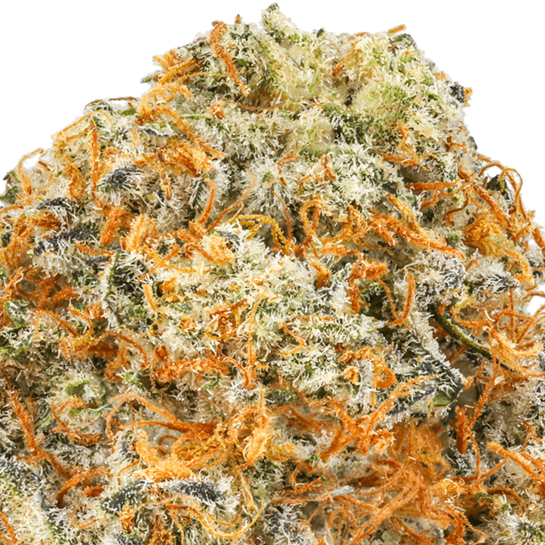 Rainbow Chip Strain