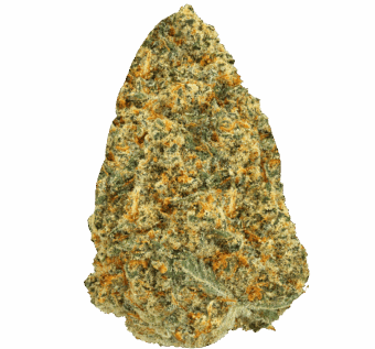 Tangilope Strain min 1