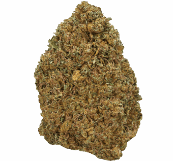 Biscotti Strain