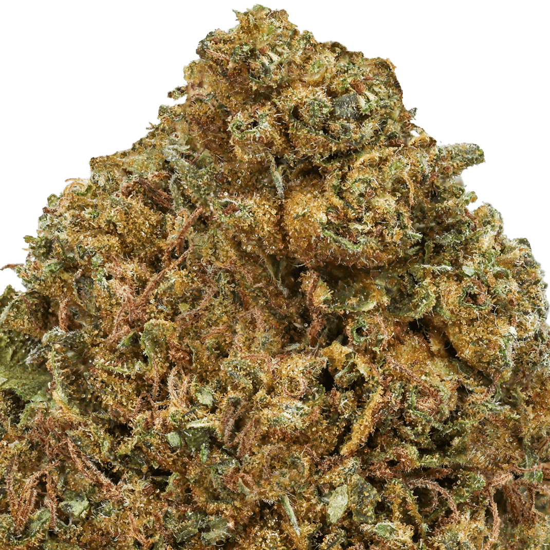 Biscotti Strain