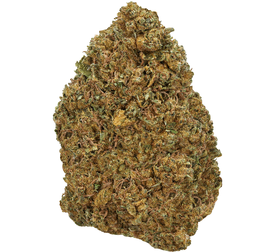 Biscotti Strain