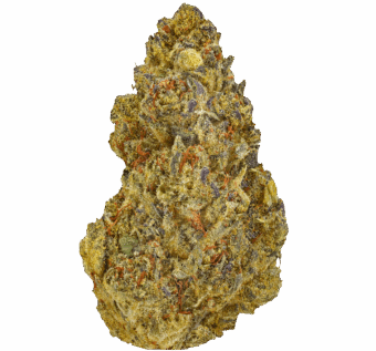 GG4 Strain min